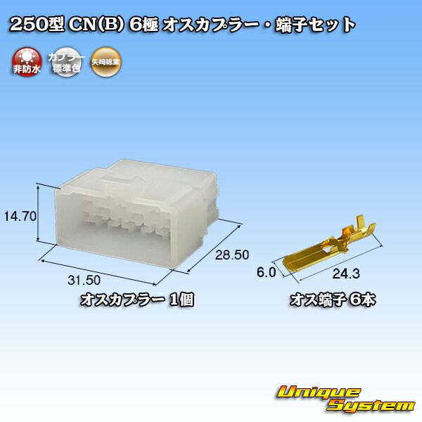  250 CN(B) 6 ץ顼üҥå