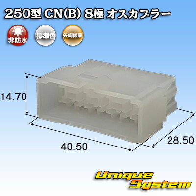  250 CN(B) 8 ץ顼