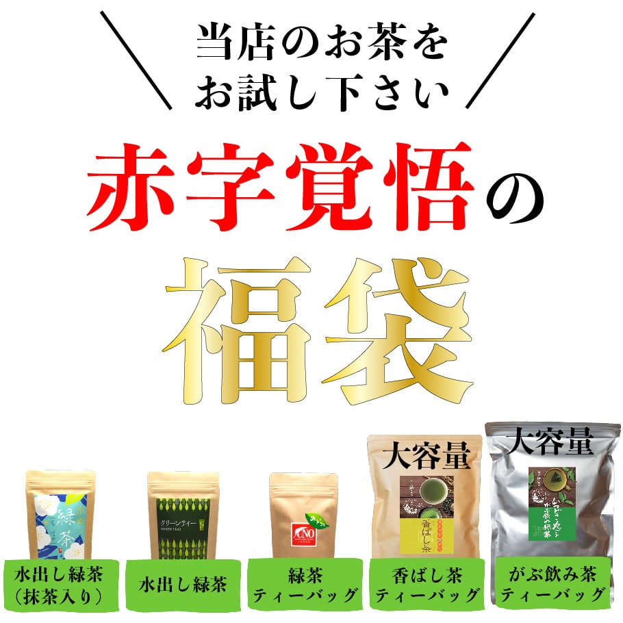 福袋 2024 送料無料 八女茶 ティーバッグ 5点セット お茶飲み比べ 緑茶 八女茶 日本茶 詰め合せ 大入り 茶葉セット 大容量 茶葉 国産 健康茶 ポイント消化 鵜ノ池製茶 宅配便 2