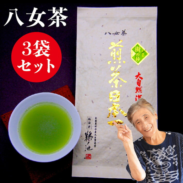 楽天鵜ノ池製茶新茶 2024 八女茶 お茶 緑茶 煎茶 茶葉 日本茶 深蒸し茶 送料無料 100g 3袋セット メール便 樹の抄 人気 煎茶 国産 一番茶 茶 葉 深蒸しご当地 お取り寄せ お土産 贈り物 九州産 鵜ノ池製茶