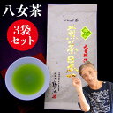 新茶予約 八女茶 お茶 緑茶 煎茶 茶葉 日本茶 深蒸し茶 送料無料 100g 3袋セット メール便 樹の抄 人気 煎茶 国産 一番茶 茶 葉 深蒸しご当地 お取り寄せ お土産 贈り物 九州産 鵜ノ池製茶