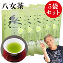 八女茶 煎茶 送料無料 100g 5袋セット 樹の抄 然 お茶 緑茶 茶葉 日本茶 深蒸し茶 煎茶 国産 冷茶 一番茶 ご当地 お土産 九州産 ランキング ネコポス 鵜ノ池製茶