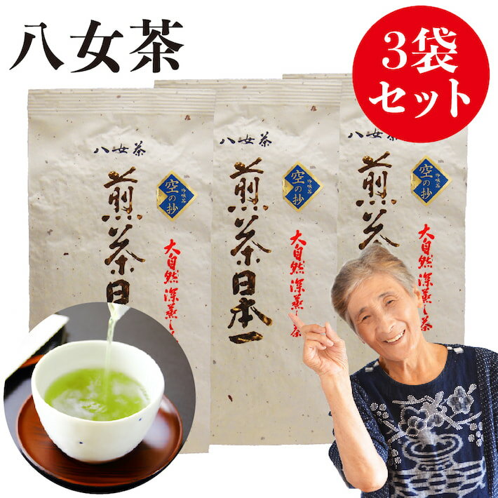 2024 新茶 八女茶 煎茶 送料無料 高級茶 100g 3袋セット メール便 お茶 緑茶 日本茶 茶葉 深蒸し茶 煎茶 国産 冷茶 一番茶 茶 葉 深蒸し ご当地 お取り寄せ ポイント消化 お土産 通販 九州産 鵜ノ池製茶