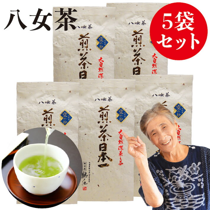 新茶 2024年 八女茶 煎茶 送料無料 高級茶 八女茶100g 5袋セット 茶 緑茶 茶葉 日本茶 深蒸し茶 煎茶 国産 冷茶 一番茶 深蒸し お取り寄せ ポイント消化 お土産 通販 九州産 ネコポス 鵜ノ池製茶