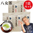 2025 新茶 八女茶 煎茶 送料無料 高級茶 八女茶100g 5袋セット 茶 緑茶 茶葉 日本茶 深蒸し茶 煎茶 国産 冷茶 一番茶 深蒸し お取り寄せ ポイント消化 お土産 通販 九州産 ネコポス 鵜ノ池製茶