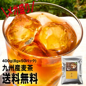 麦茶 送料無料 ティーバッグ 8gパック 50包入り 400g ノンカフェイン 健康茶 お茶 ポスト投函 ポイント消化 通販 ランキング 九州産 ネコポス 鵜ノ池製茶 健康