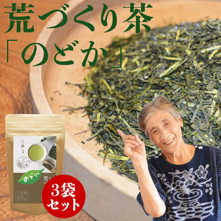 2024 新茶 八女茶 煎茶 送料無料 荒作り茶 のどか 100g 3袋セット お茶 緑茶 日本茶 茶葉 深蒸し茶 加工 国産 一番茶 お茶 お土産 通販 贈り物 九州産 ランキング ネコポス 鵜ノ池製茶