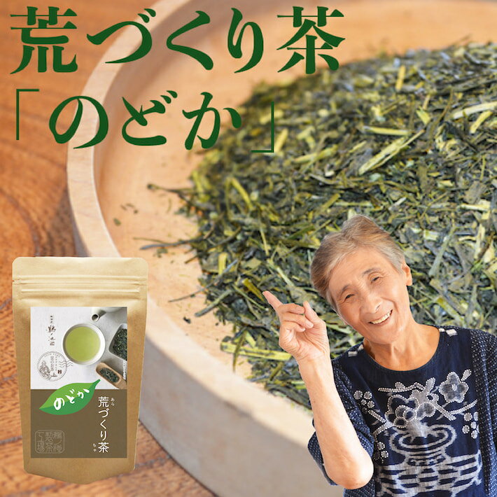 ＜マラソン期間中 40%OFF＞ 新茶予約 2024年 八女茶 煎茶 送料無料 荒作り茶 のどか 100g メール便 お茶 緑茶 日本茶 茶葉 深蒸し茶 煎茶 一番茶 お土産 通販 九州産 ランキング 深むし 鵜ノ池製茶