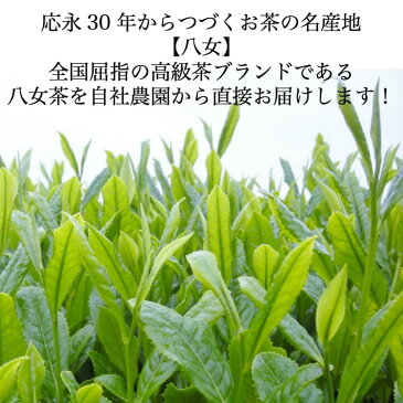 【送料無料】メール便 八女茶 ほうじ茶 ティーバッグ 10包 お茶 緑茶 日本茶 茶葉 自社栽培 安心安全 農園 加工 鵜ノ池製茶 国産 深蒸し茶 ポイント消化 ご当地 お取り寄せ プレゼント 贈り物 ランキング 九州産 カテキン 深むし