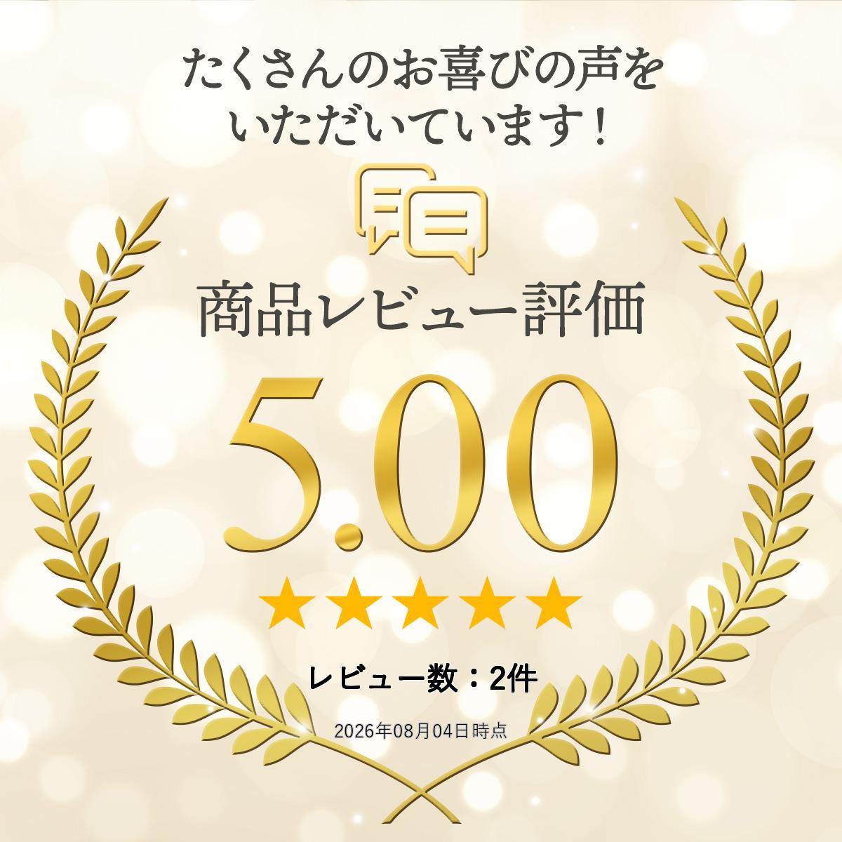 【みみエク追加用】三つ編み 選べる2本セットで気軽に大変身！メッシュエクステ 美...
