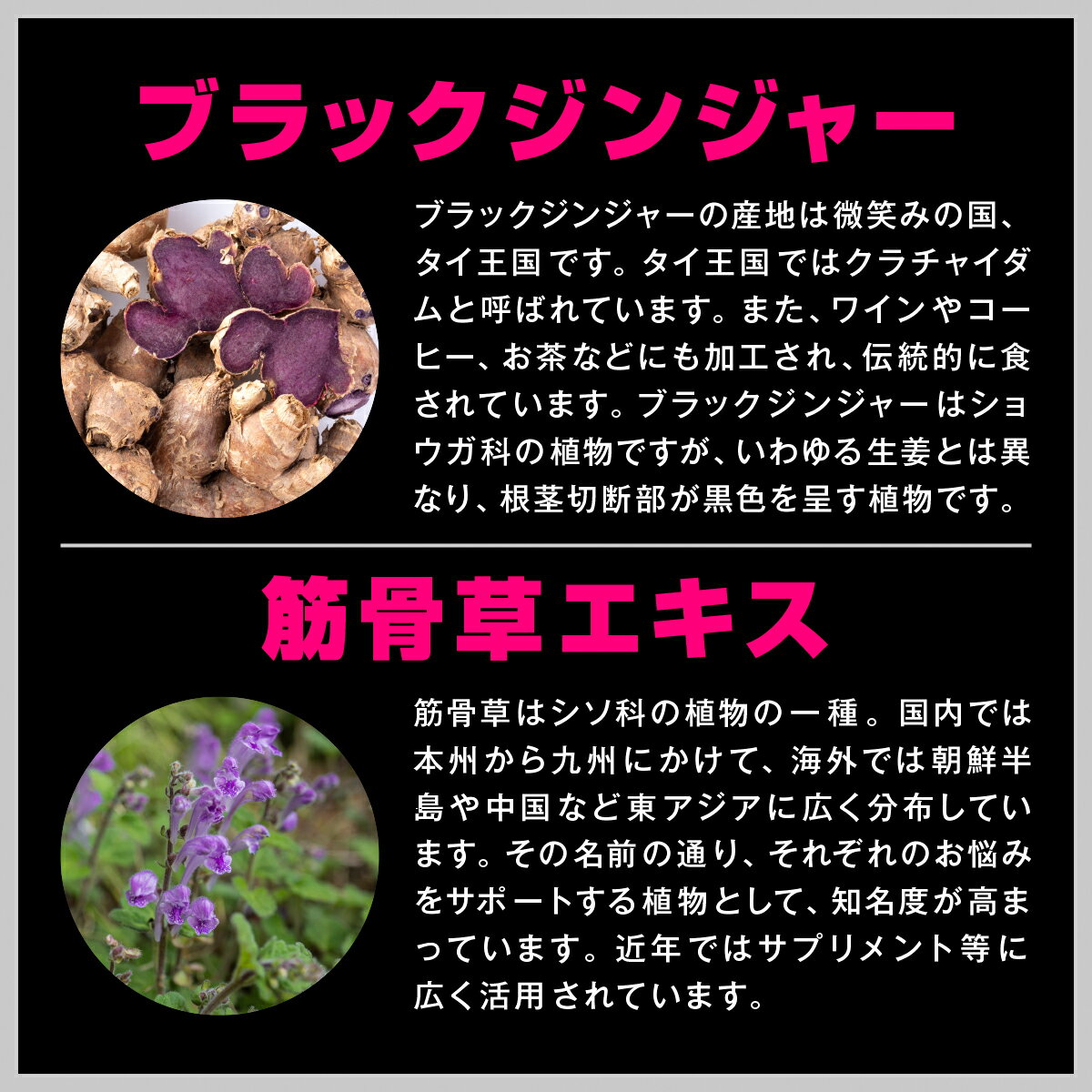売り切れ必至 ジオス源90粒入り 6袋セット ジオスゲニン ヤマイモ抽出物 ブラックジンジャー 筋骨草エキス Hmbカルシウム 国産 サプリ サプリメント 驚きの安さ Www Ugtu Net 売り切れ必至 ジオス源90粒入り 6袋セット ジオスゲニン ヤマイモ抽出物 ブラックジンジャー 筋骨草エキス Hmbカルシウム 国産 サプリ サプリメント 驚きの安さ Www Ugtu Net