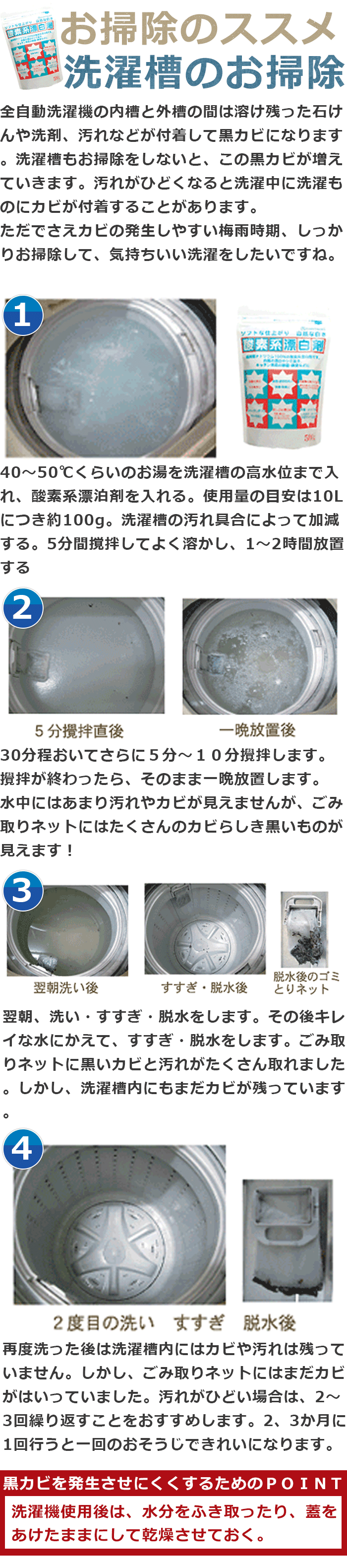 酸素系漂白剤 50g 地の塩社 [洗濯槽 風呂釜 冷蔵庫 食器棚 排水溝 まな板 掃除 クリーナー カビ取り 漂白 除菌 消臭] 『メール便可』