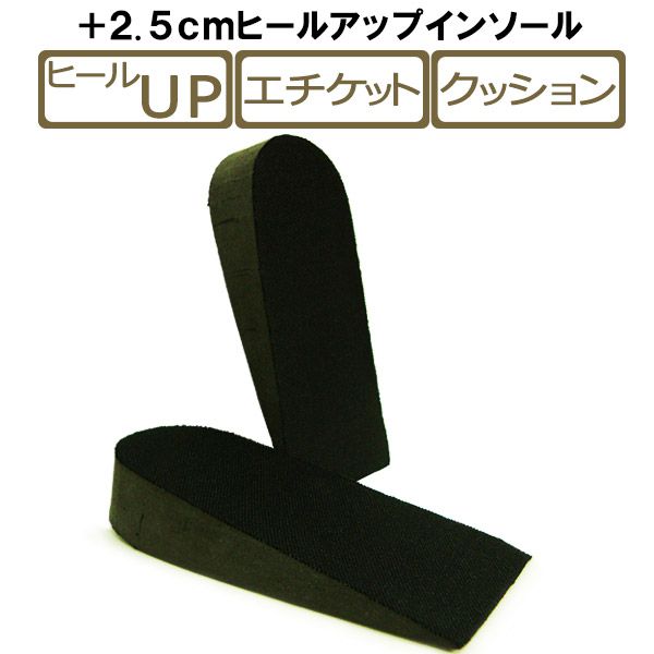 【送料無料】【ヒールアップインソール】自然な高さ・履き心地で美脚効果 身長2.5cmUp♪シークレットインソール 中敷 衝撃吸収 シークレットブーツ シークレットシューズ シークレットスニーカー fu25insl/2025新作 春夏 父の日