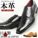 【本革 日本製】 ビジネスシューズ レザー ウィングチップ レース メンズ ビジネス 革靴 レザー 紳士靴 Men's Business【★】/2024新作 春夏 トレンド