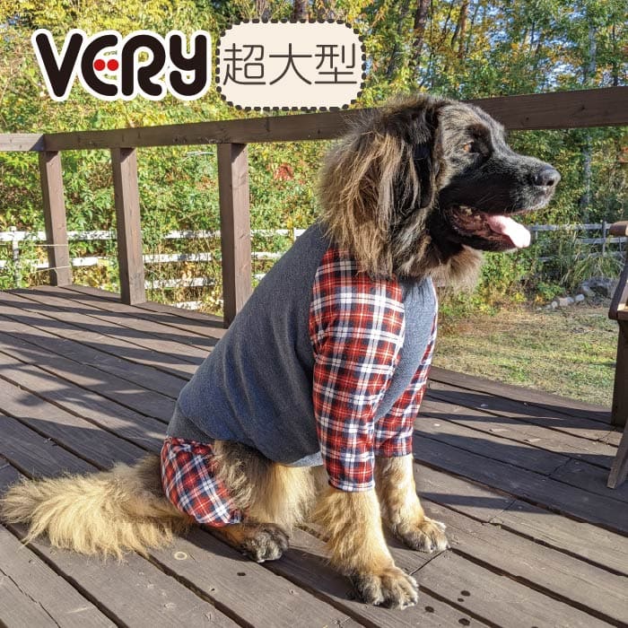 犬 服 犬服 Web限定プリントカバーオール2 冬 秋 秋冬 冬服 超大型犬 ブランド おしゃれ 安い プチプラ 可愛い お揃い ペア ペットウェア ペット服