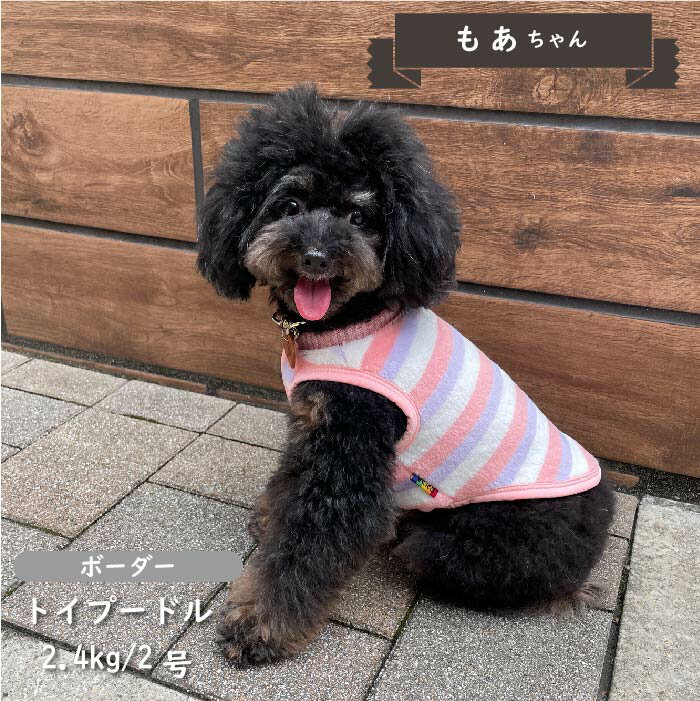 犬 服 犬服 冬 秋 秋冬 冬服 小型犬 胴長 ダックス ブランド おしゃれ 安い 可愛い お揃い ペア 暖かい 防寒 ドッグウェア ペットウェア ボーダー ボア タンク 2023WEB限定 3