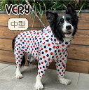 【再入荷 ストレッチフルカバー レインコート 4脚 】犬服 中型犬 ブランド おしゃれ 安い プチプラ 可愛い お揃い ペア ペットウェア ペット服 犬 服 レ...