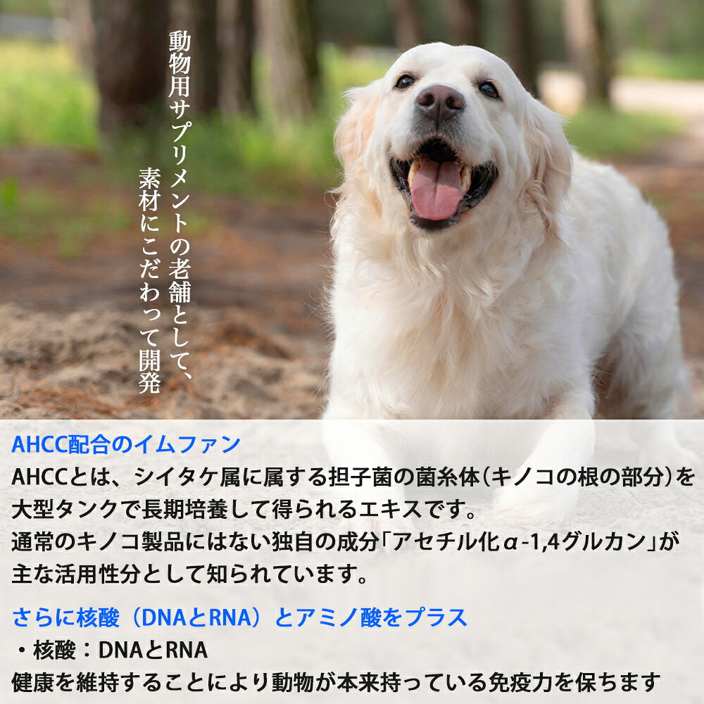 10%OFF クーポン おまけ付き イムファン 犬 イヌ 成犬 猫 ネコ ペット 動物 サプリメント サプリ 30ml 1個 AHCC配合 リキッド 被毛 健康維持 健康 国内生産 日本製 安心 飲みやすい 食べやすい vetschoice-10000063 ペッツチョイスショップ サンプル画像3