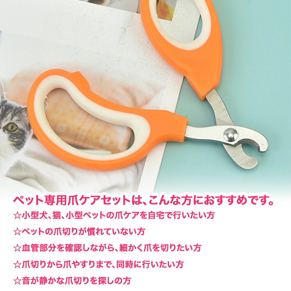 ���ޤ��оݳ� ��ŵ���� 009 ���ޤ������顼 ���ˤ��Ĥ��ڤ� 1�� ��ǭ���� ���ڤ� �Ĥ��ڤ� �ڥå� �� ǭ�� ���� �ɥå� ����å� ���� �İ��� ���襤��