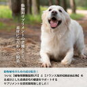 おまけ付き トリカ 犬 イヌ 成犬 猫 ネコ ペット 動物 サプリメント サプリ 170mg 12粒 ×10シート1箱 小粒 健康維持 LPS含有 健康 国内生産 日本製 安心 飲みやすい 食べやすい 3