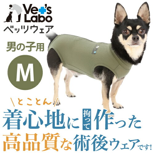 公式【2着までメール便配送可】犬用 ベッツウェア 男の子用 カーキ M 【Vet's Labo】犬用 皮膚保護服 ..