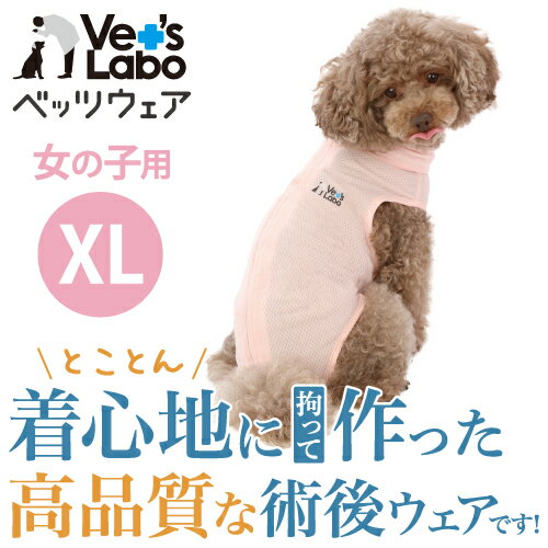 つなぎ 公式【2着までメール便配送可】犬用ベッツウェア　女の子用 ピンク XL 【Vet's Labo】犬用 皮膚保護服 術後衣 洋服 ウェア 速乾性 伸縮性 メッシュ素材 傷舐め 引っかき 抜け毛 防止 [F]