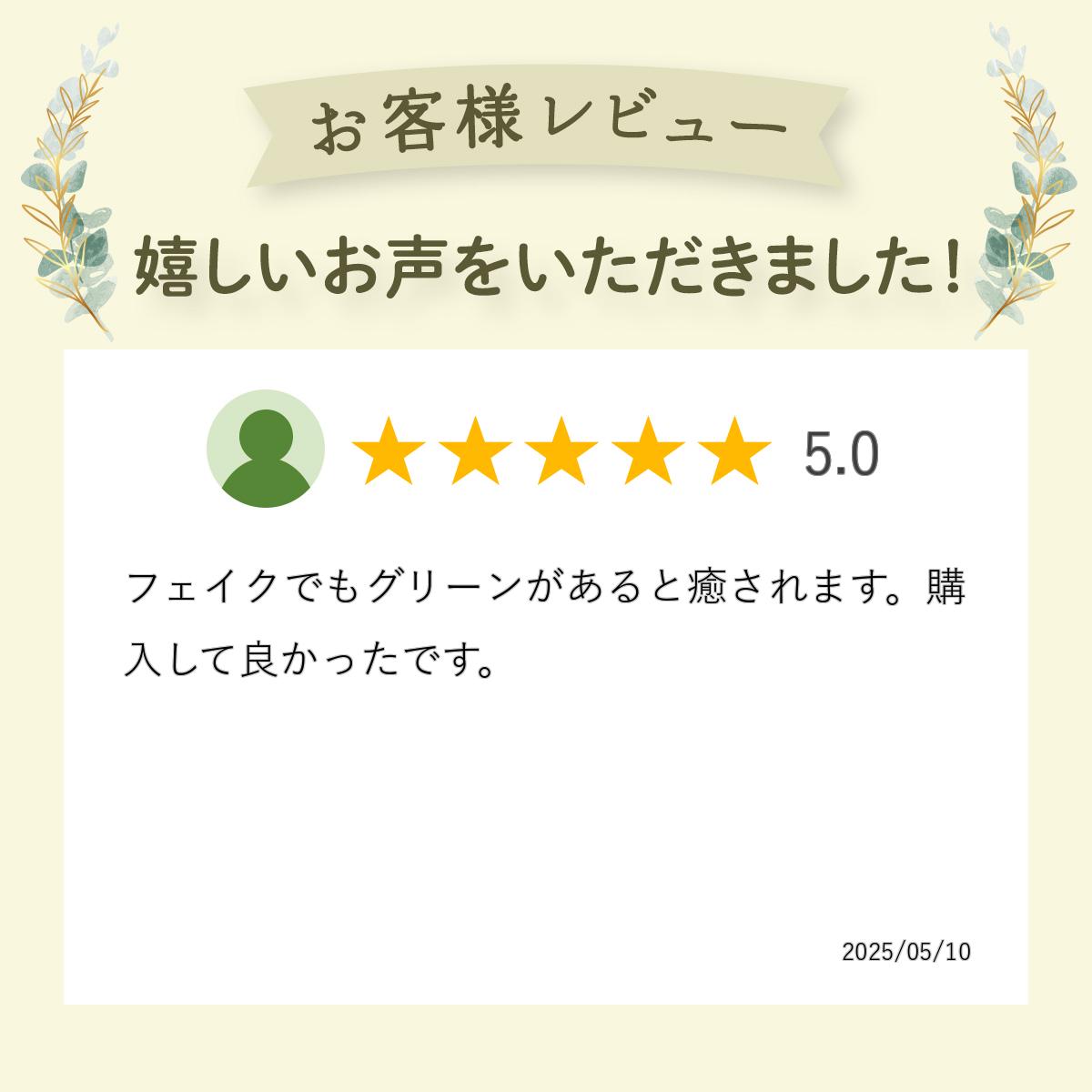 ����100%�ݥ���ȥХå�&����3,000��OFF�����ݥ󤢤� �ե��������꡼�� ���տ�ʪ �͹����տ�ʪ ¤�� ��� �ߥ� �ץߥ� ���奬���Х��� �������󥿥� �������������塼�� 3�ĥ��å� ��� �ȥ��� GREENPARK PRGR-1304 ����̵�� ��� �� ���꡼��ѡ��� ��ʪ �͹����տ�ʪ �͹�