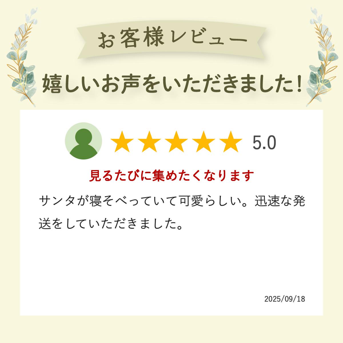 ����100%�ݥ���ȥХå�&����400��OFF�����ݥ󤢤�Υ�ǥ��� �˥å� NORDIKA nisse ���ꥹ�ޥ� ���� ����ƥꥢ �ͷ� ���󥿥������� �ե���� �ҤȤ䤹�� ���� �ۥ磻�� ���졼 �� �������ȥʥ��� �̲� ���� ����̵�� ��åԥ��б� ������� �ʥ����� �İ��� ����