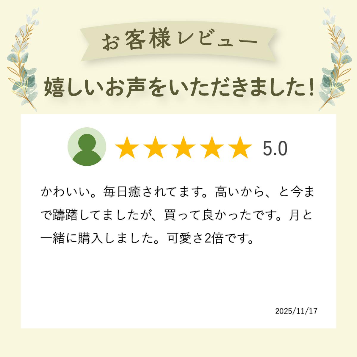 ����100%�ݥ���ȥХå� �Υ�ǥ��� �˥å� NORDIKA nisse ���ꥹ�ޥ� ���� ���� �ͷ� ����ƥꥢ �̲� ���󥿥������� ���¤� �ͤ�� ���λ� �� ���졼 �������� �ʥ��� NRD120725 ����̵�� ��åԥ��б� ���� ���ե� �ե���� �İ��� ������ �ץ�