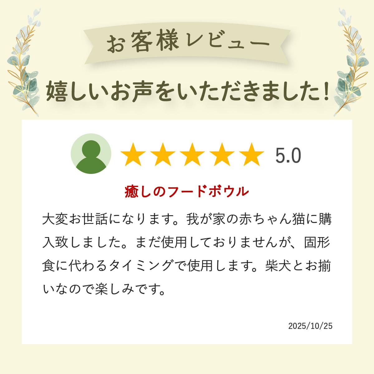 ����100%�ݥ���ȥХå� �ա��ɥܥ��� �� ǭ ���� ������ �ڥå� �� S ������ �ߥ� �� �ɥå� ����å� �ѥ��ƥ� �֥롼 �ԥ� �ࡼ�ߥ� ���å� ���ե� ����ץ� �̲� muurla �ࡼ��� ��åԥ��б� £��ʪ �İ��� ������ �ʥ����� ���˥� �ץ쥼���