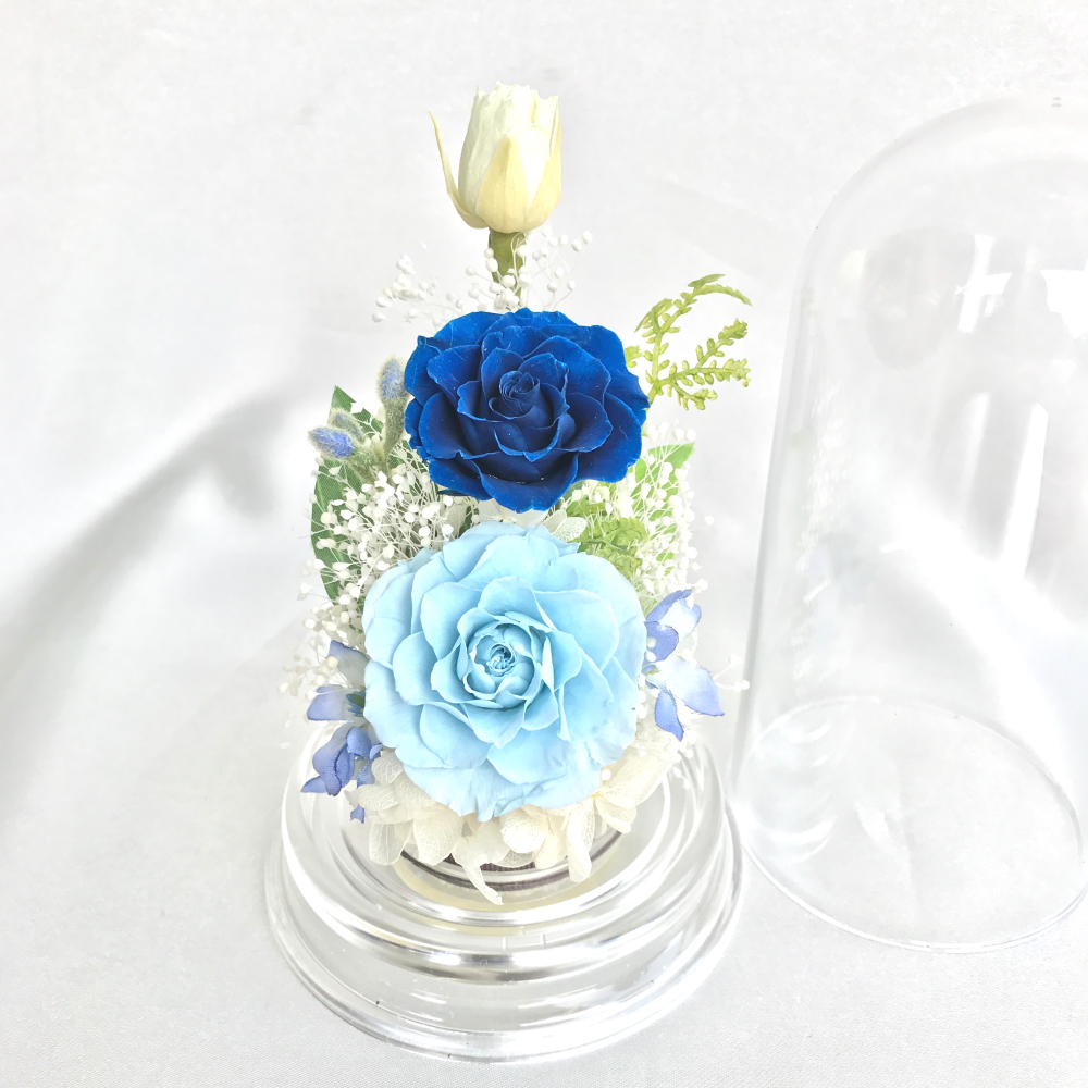 SLʥ󥰡˥ɡॢROSE mimiʥߥߡBLUE ֥롼 ץꥶ֥ɥե [PW]
