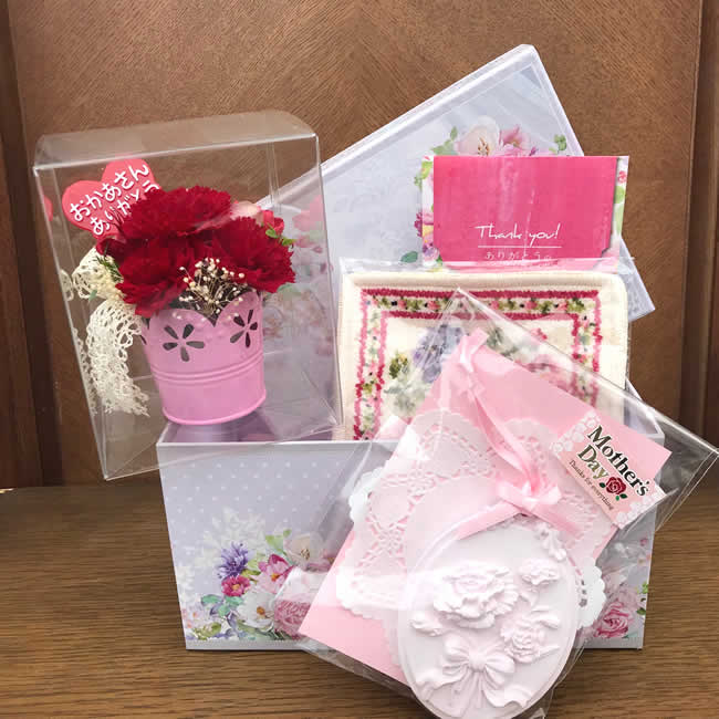 【癒しのプレゼントBOX】真赤なカーネーション 花言葉 花言葉 母への愛・深い愛 プリザーブドフラワー [PW]