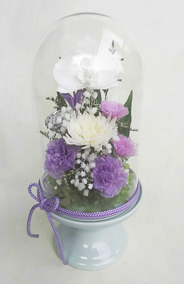 仏花 Lサイズガラスドーム入 偲い 胡蝶蘭と輪菊淡藤色の小花アレンジ 咲き続ける生花 プリザーブドフラワー ギフト【送料無料】【RCP】[PW]