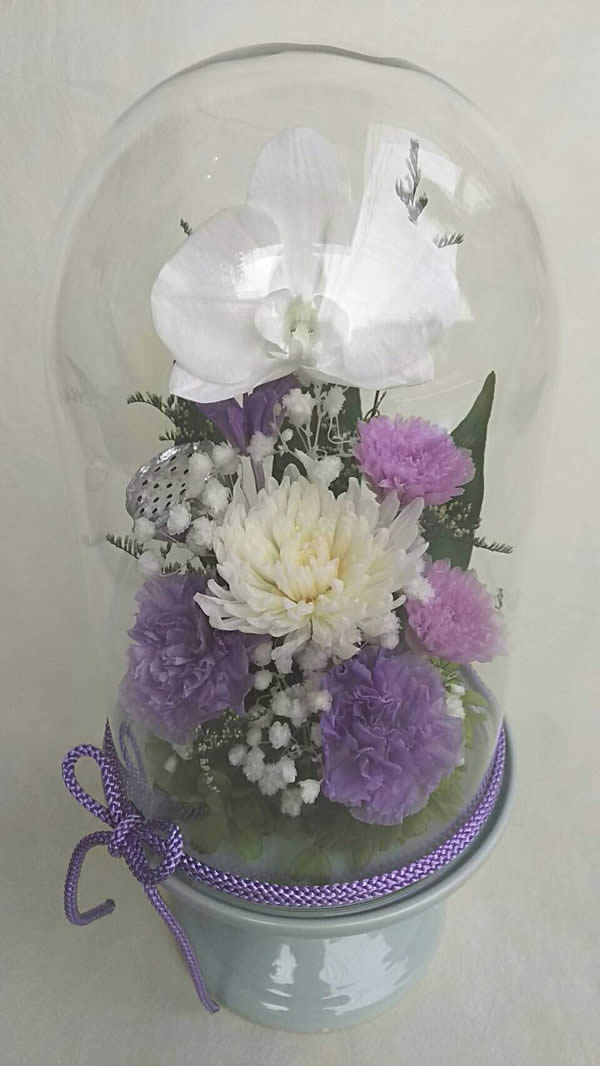 仏花 Lサイズガラスドーム入 偲い 胡蝶蘭と輪菊淡藤色の小花アレンジ 咲き続ける生花 プリザーブドフラワー ギフト【送料無料】【RCP】[PW]