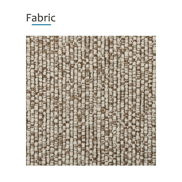 LS-423-F ソファ 布張り 幅120 奥行160 ライトグレージュ色 クッション付き ロータイプ ワイド 低い背もたれ 奥行広い ウレタンフォーム ポケットコイルスプリング 2Pソファ 2人掛けソファ 送料込み [2]