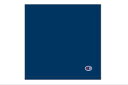 【全品 送料無料!】 【チャンピオン】【Champion】ウォッシュタオル【ネイビー】【メジャーワッペン】【スポーツ】【メーカー】【ブランド】【タオル】【たおる】【ハンカチ】【ハンドタオル】【ミニタオル】【雑貨】【グッズ】