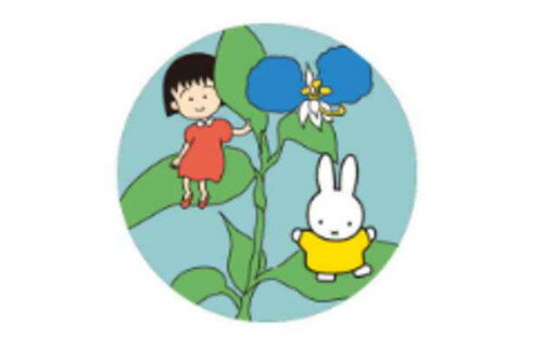ʡ̵ۡmiffyMIFFY MEETS MARUKOɽ֥Ĥ椯 ӤޤҤ󡡥ߥåեܡ֥ԥХåХåߡå襤