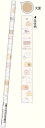 【全品 送料無料!】 オリジナル 細軸鉛筆2B おいしいねにくまん えんぴつ エンピツ 文房具 学校 勉強 雑貨 グッズ かわいい