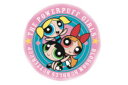 【全品 送料無料!】【日本製】【パワーパフガールズ】キャラクターステッカー【セット】【5枚セット】【サークル】【パワパフ】【ヒーロー】【アニメ】【アメキャラ】【...