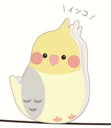 【全品 送料無料!】【セット商品】【10個入り】【オリジナル】ことりクリップ【イエロー】【黄色】【インコ】【クリップ】【留め】【文房具】【学校】【勉強】【雑貨】【グッズ】【かわいい】
