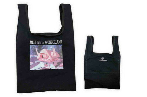 【全品　送料無料！】　 ディズニーキャラクター　キャンバスミニトートバッグハウス　不思議の国のアリス　アリスインワンダーランド　ディズニー　映画　アニメ　かばん　カバン　鞄　バッグ　トート　お出かけ　買い物　雑貨　グッズ