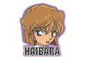 【全品 送料無料!】 【日本製】【名探偵コナン】キャラクターステッカー【灰原】【コナン】【探偵】【名探偵】【漫画】【アニメ】【映画】【シール】【ステッカー】【文房具】【学校】【インテリア】【雑貨】【グッズ】