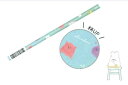 【全品 送料無料!】 日本製 オリジナル マット軸鉛筆2B グラデ ジューシーなしんかい 海 魚 動物 アニマル 鉛筆 えんぴつ エンピツ 筆記用具 文房具 ...