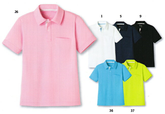 y}\P2{zjtH[ |Vc|Vc DV-P575 (4L)D-pit POLO-SHIRTS^J 