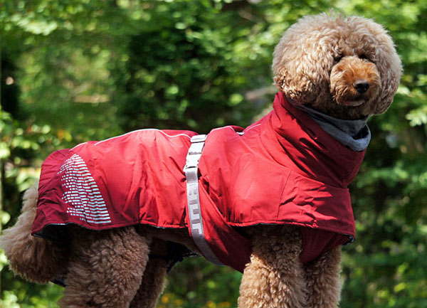 Hurtta フルッタ エクストリームウォーマー 冬用 小型犬 中型犬用 犬服 コート レインコート 中型犬 カラー：グレイ/リンゴン/コーラルカモ/グリーンカモ