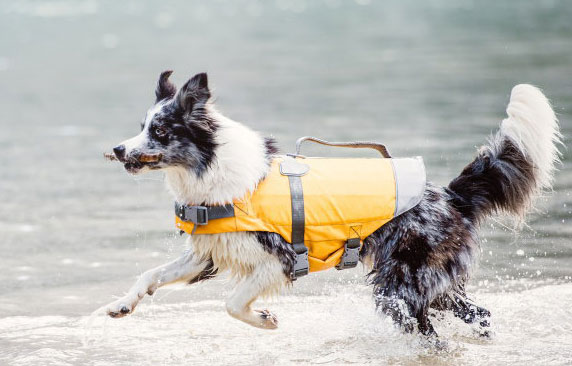＜ニューモデル＞ライフジャケット 犬用 フルッタ Hurtta 中型犬・大型犬用 愛犬の泳ぎをサポート！ドッグウェア Life Jacket 犬用ライフジャケット 犬 ドッグ アウトドア フィンランドのドッグブランド