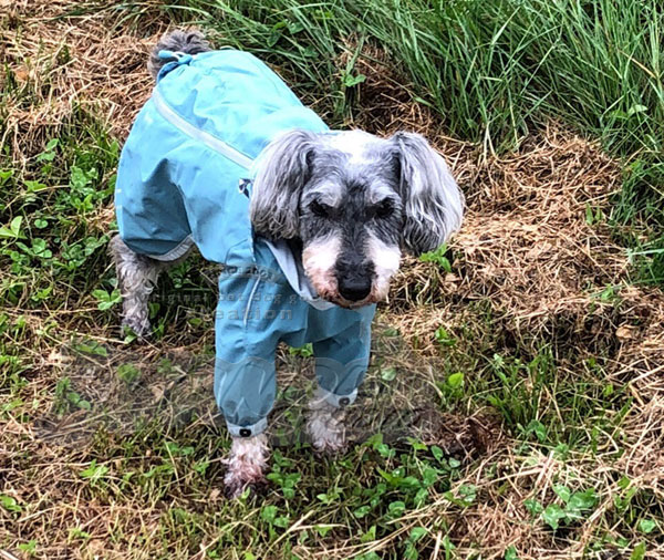 ＜レインブロッカー＞ 中型犬用 Hurtta Rain Blocker レインコート 中型犬 犬服 コート 防水 ドッグレインコート ドッグウェア フルカ..