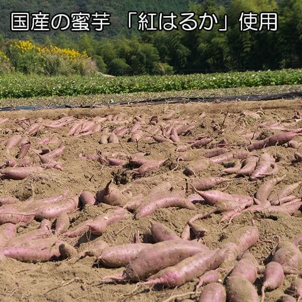 黄金さつま 2個 200g 干し芋 国産 無添加 紅はるか 干しいも セール ポイント消化 1000円ポッキリ 送料無料 グルメ食品 砂糖不使用 芋 スイーツ お取り寄せ バレンタイン お菓子 ほしいも ノンシュガー さつまいも 1000円 送料無料 柔らかい メール便 sweets チョコ以外格安通販　バレンタイン　人気　ランキング