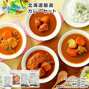 北海道カレーセット スープカレーセット 4食(北国チキンレッグ/南家/天竺/ココナッツ)業務用 カレー セット レトルトカレー 常温保存 北海道 スープカレー レトルト 食品 詰め合わせ set チキンカレー お取り寄せ 送料無料 soup curry set バレンタイン チョコ以外 食べ物