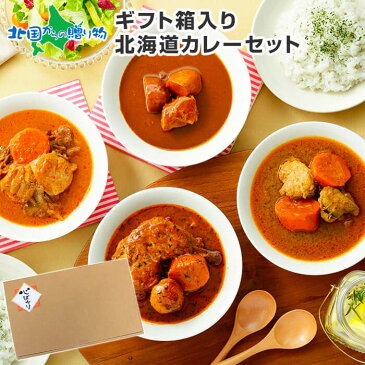 北海道スープカレー4食セット ギフト箱(北国チキンレッグ/南家/天竺/ココナッツ)レトルト カレー gift レトルト食品 詰め合わせ 北海道 スープカレー セット present 食べ物 敬老の日 ギフト チキンカレー お取り寄せ 送料無料 set soup curry レトルト プレゼント 夏ギフト